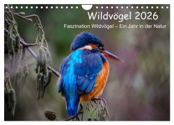 Cover-Bild zum Titel 'Wildvögel 2026 (Wandkalender 2026 DIN A4 quer), CALVENDO Monatskalender' von 'Florian Freiberg Photography'