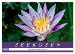 Cover-Bild zum Titel 'Seerosen - Königin der Gartenteiche (Wandkalender 2026 DIN A2 quer), CALVENDO Monatskalender' von 'Dieter Meyer'