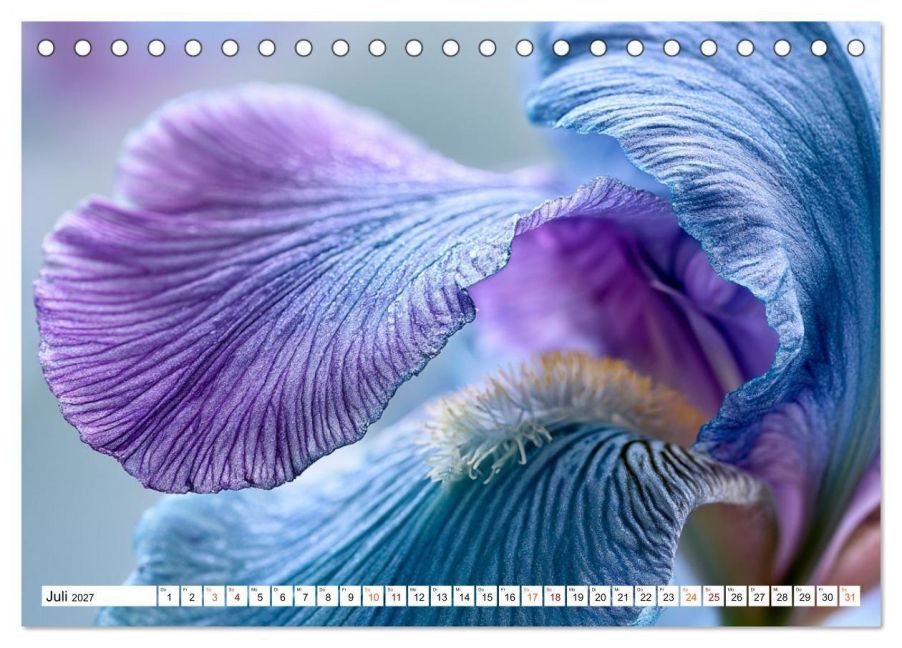 InsideView 12
