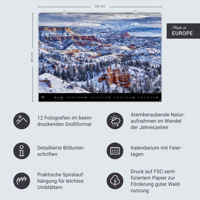 InsideView 13