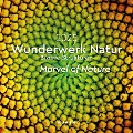 Wunderwerk Natur - Bizarre Strukturen - KUNTH Broschurkalender 2025 - 