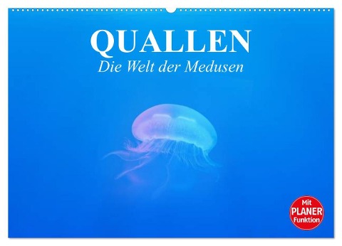 Quallen. Die Welt der Medusen (Wandkalender 2025 DIN A2 quer), CALVENDO Monatskalender - Elisabeth Stanzer