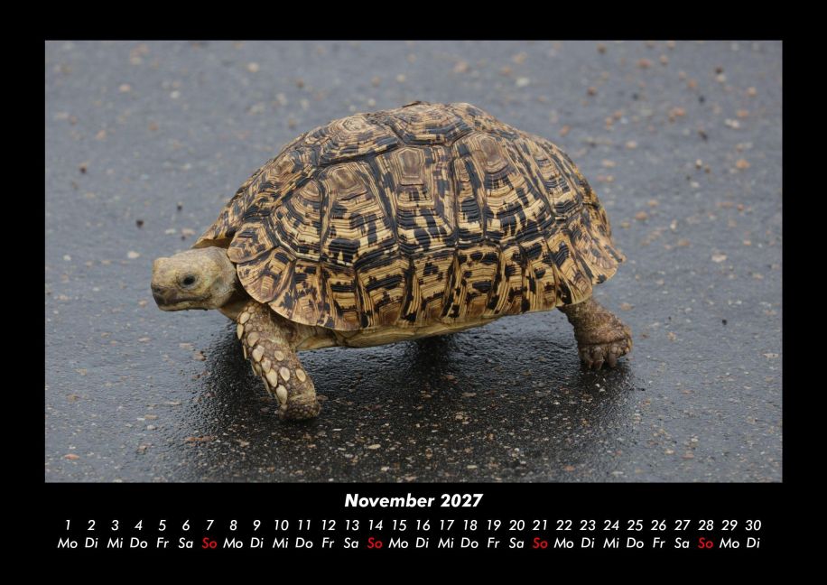 InsideView 3