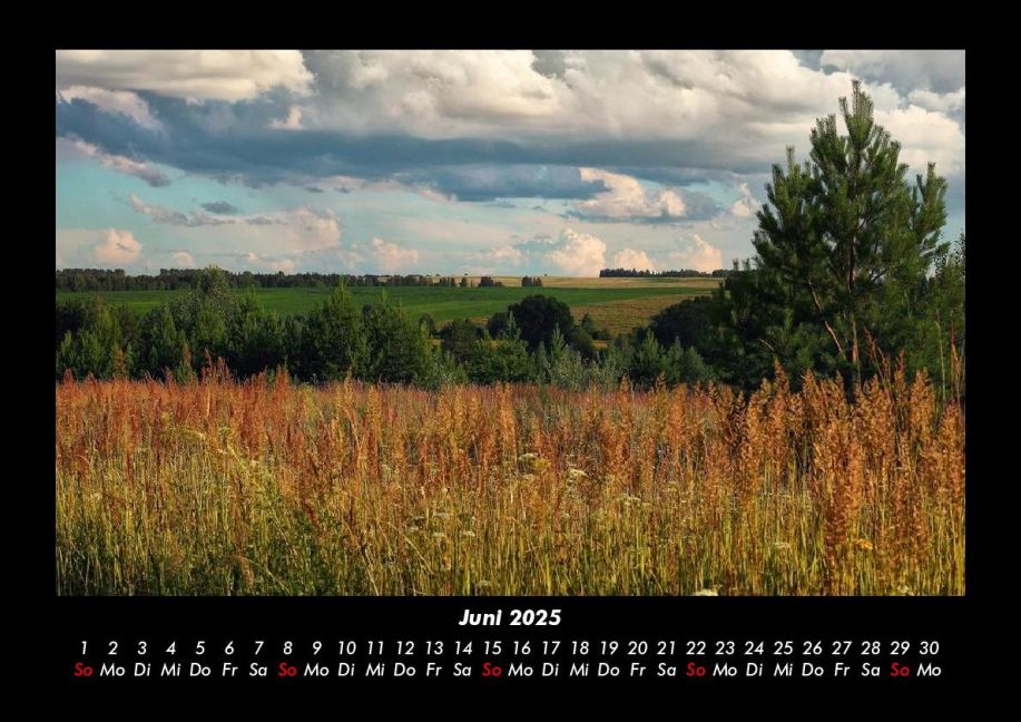 InsideView 10