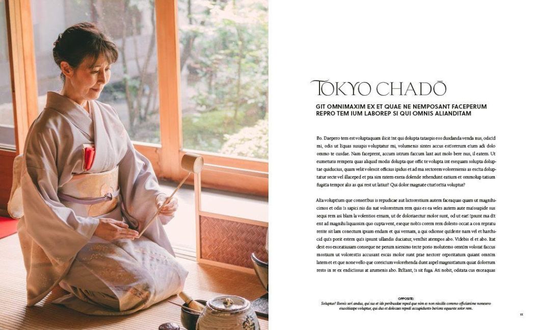 InsideView 5