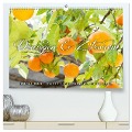 Emotionale Momente: Orangen & Zitronen. (hochwertiger Premium Wandkalender 2025 DIN A2 quer), Kunstdruck in Hochglanz - Ingo Gerlach