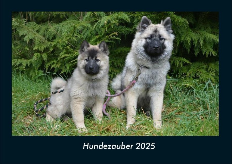 Hundezauber 2025 Fotokalender DIN A4 - Tobias Becker