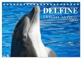 Delfine - Lächelnde Intelligenz (Tischkalender 2024 DIN A5 quer), CALVENDO Monatskalender - Elisabeth Stanzer