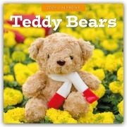 Cover-Bild zum Titel 'Teddy Bears - Teddybären 2026 - 16-Monatskalender' von 'Robin Red'