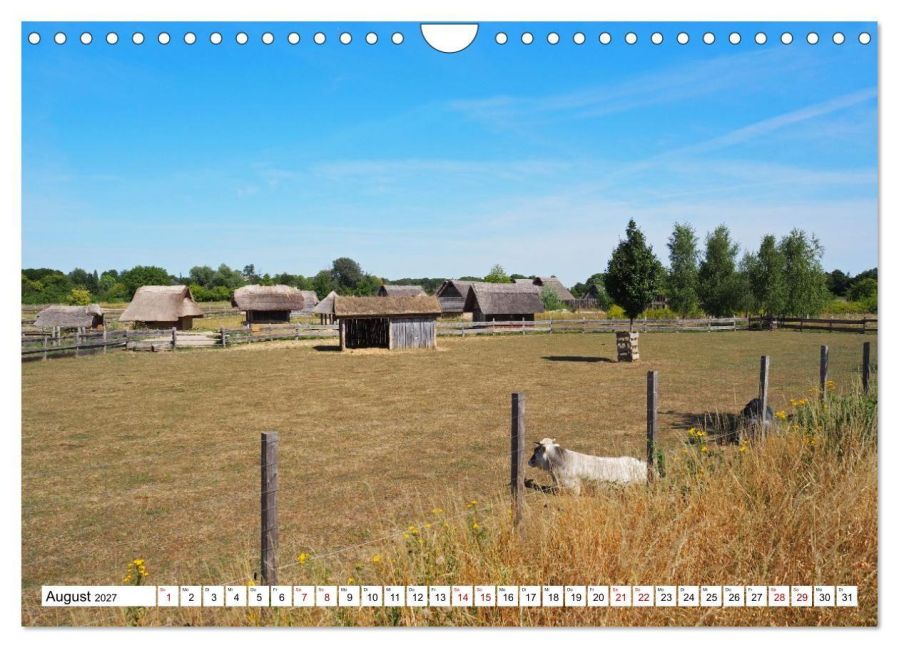 InsideView 13