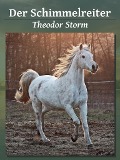 Cover-Bild zum Titel 'Der Schimmelreiter' von 'Theodor Storm'