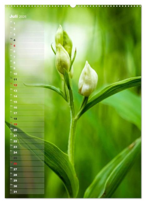 InsideView 12