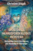 Cover-Bild zum Titel 'SPIRITUELLE HERAUSFORDERUNGEN MEISTERN' von 'Christine Woydt'