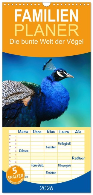 Familienplaner 2026 - Die bunte Welt der Vögel mit 5 Spalten (Wandkalender, 21 x 45 cm) CALVENDO - Martina Fornal