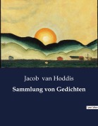Cover-Bild zum Titel 'Sammlung von Gedichten' von 'Jacob van Hoddis'