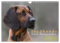 Cover-Bild zum Titel 'Jagdhunde - Treue Waidgesellen (Wandkalender 2026 DIN A4 quer), CALVENDO Monatskalender' von 'Nadine Gerlach'