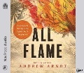 Cover-Bild zum Titel 'All Flame: Entering Into the Life of the Father, Son, and Holy Spirit' von 'Andrew Arndt'