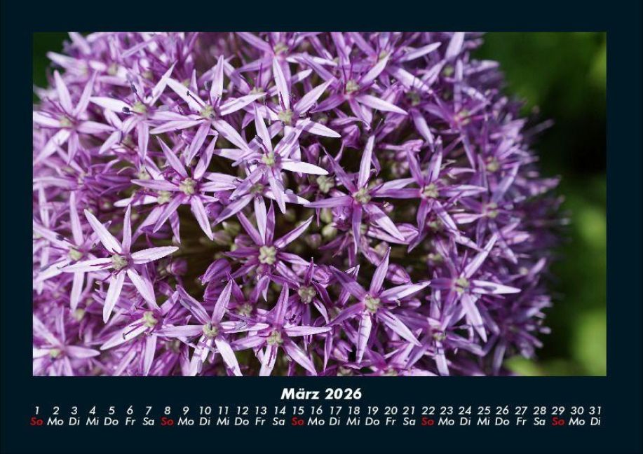InsideView 7