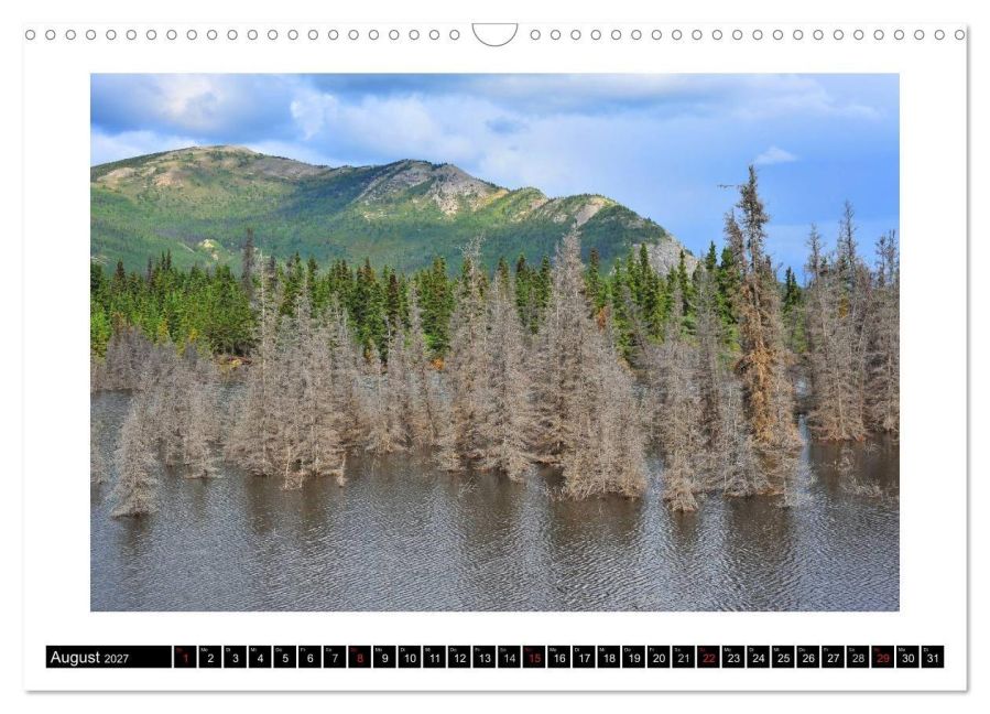 InsideView 13