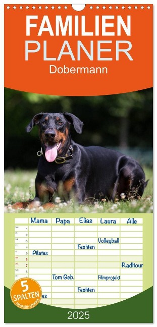 Familienplaner 2025 - Dobermann mit 5 Spalten (Wandkalender, 21 x 45 cm) CALVENDO - Annett Mirsberger Www. Tierpfoto. De