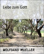 Cover-Bild zum Titel 'Liebe zum Gott' von 'Wolfgang Mueller'