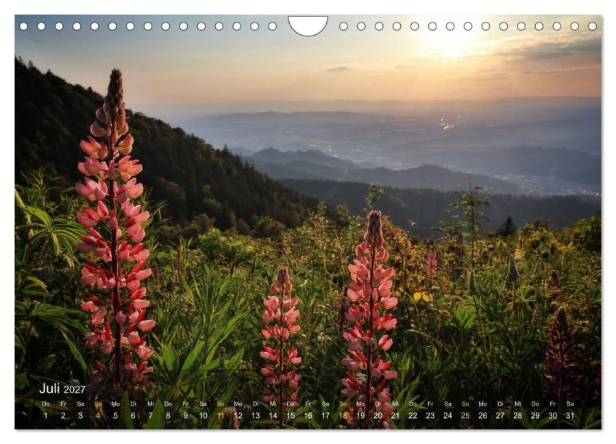InsideView 12