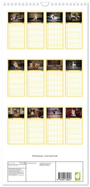 InsideView 4