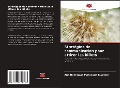 Cover-Bild zum Titel 'Stratégies de communication pour attirer les billets' von 'Ana Domingas Matangue Cuambe'
