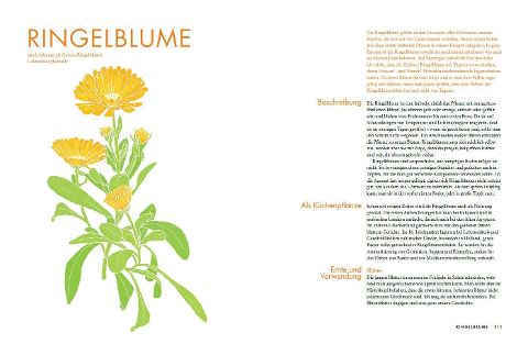 InsideView 12