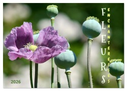 Cover-Bild zum Titel 'DES FLEURS ENCHANTERESSES (Calendrier mural 2026 DIN A3 vertical), CALVENDO calendrier mensuel' von 'Anja Rau'