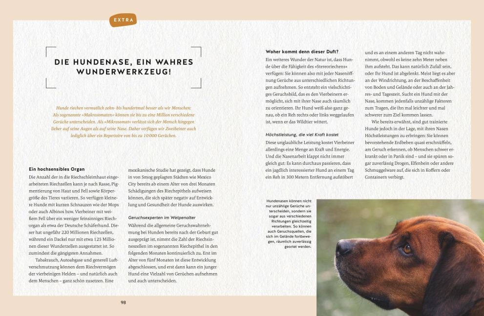 InsideView 5