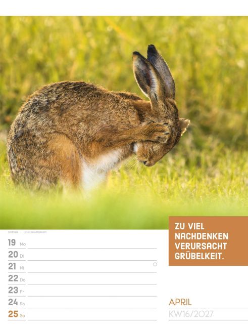 InsideView 20