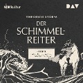 Cover-Bild zum Titel 'Der Schimmelreiter' von 'Theodor Storm'