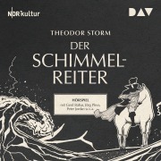 Cover-Bild zum Titel 'Der Schimmelreiter' von 'Theodor Storm'