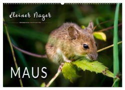 Cover-Bild zum Titel 'Kleiner Nager - Maus (Wandkalender 2026 DIN A2 quer), CALVENDO Monatskalender' von 'Peter Roder'