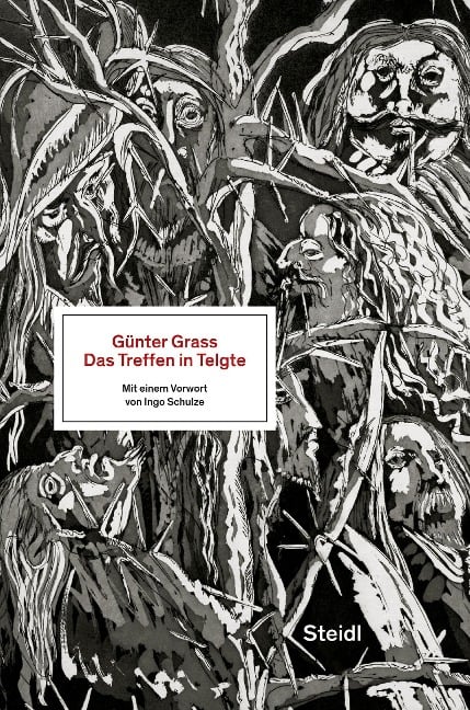 Das Treffen in Telgte - Günter Grass