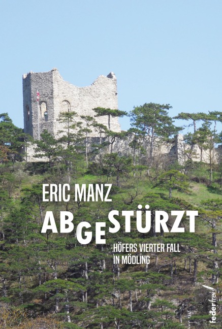 Abgestürzt: Höfers vierter Fall. Österreich-Krimi - Eric Manz