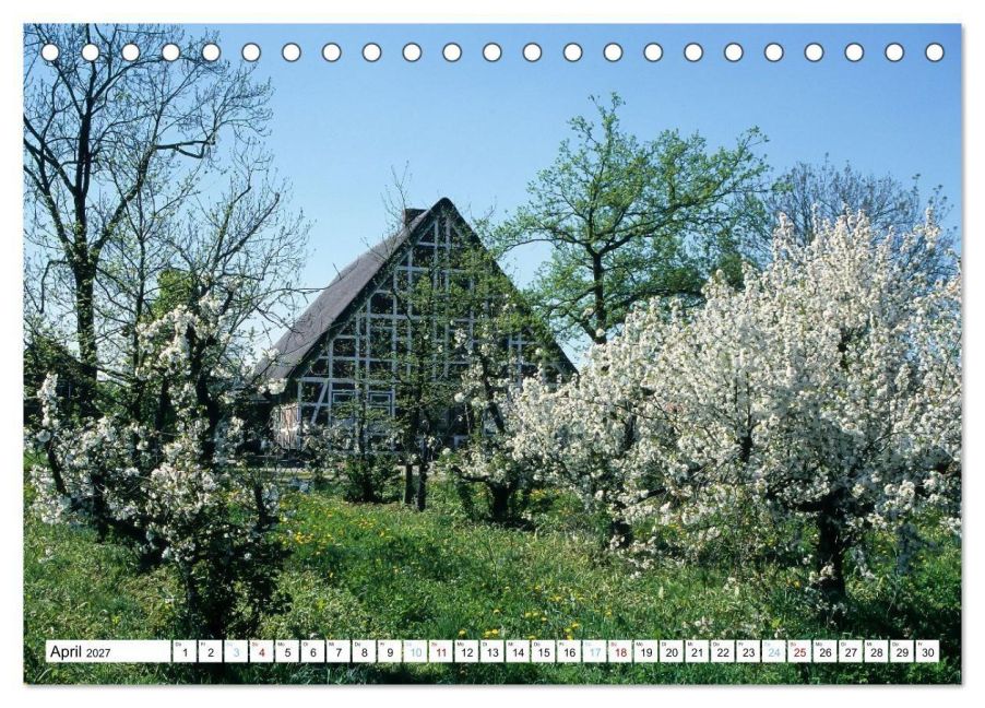 InsideView 9