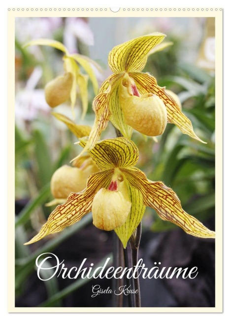 Orchideenträume (Wandkalender 2026 DIN A2 hoch), CALVENDO Monatskalender - Gisela Kruse