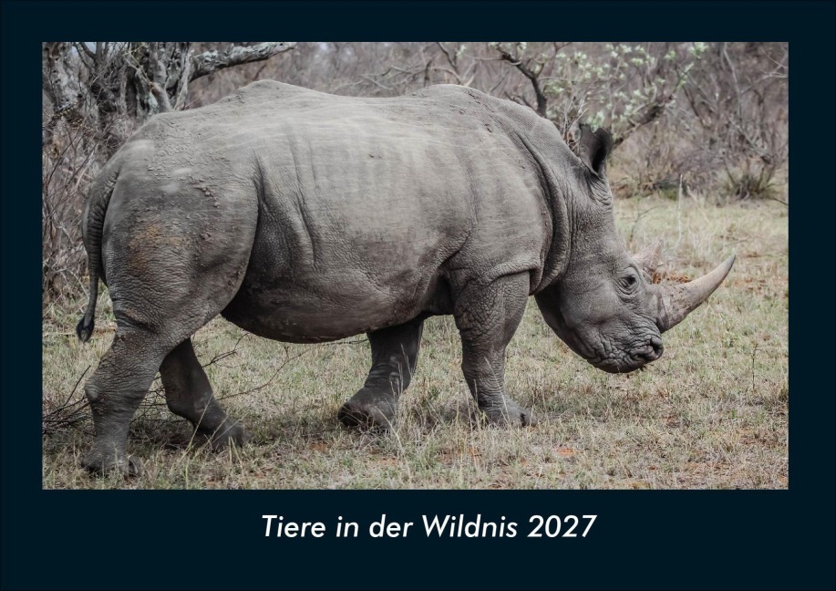 Tiere in der Wildnis 2027 Fotokalender DIN A4 - Tobias Schmitt, Kevin Heber