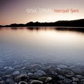 Cover-Bild zum Titel 'Tranquil Fjord' von 'Gisle Torvik'