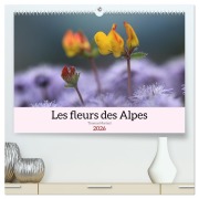 Les fleurs des Alpes (Calendrier mural 2026 DIN A2 vertical) calendrier de bureau - Thomas Martzel