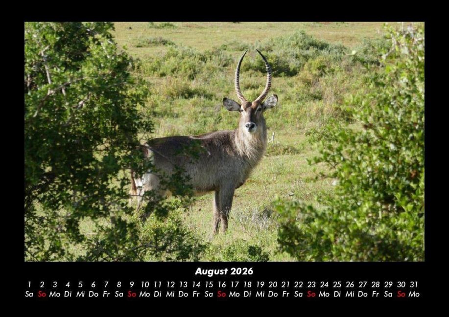 InsideView 12