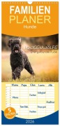 Cover-Bild zum Titel 'Familienplaner 2026 - Lockenwölfe - Energiebündel Pudel mit 5 Spalten (Wandkalender, 21 x 45 cm) CALVENDO' von 'Alexandra Hollstein'