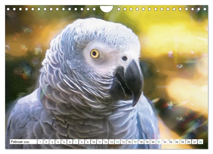 InsideView 7