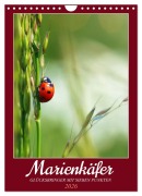 Cover-Bild zum Titel 'Marienkäfer, Glücksbringer mit sieben Punkten (Wandkalender 2026 DIN A4 hoch), CALVENDO Monatskalender' von 'Sabine Löwer'