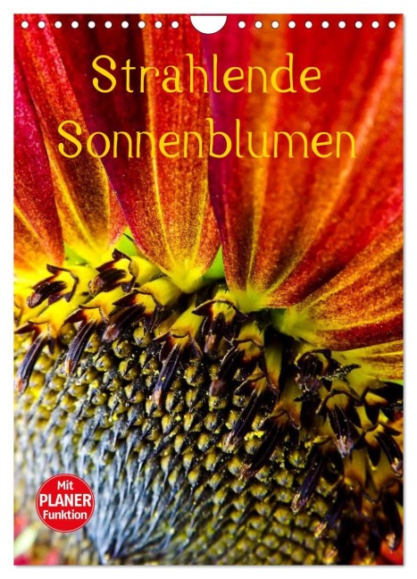 Strahlende Sonnenblumen (Wandkalender 2026 DIN A4 hoch), CALVENDO Monatskalender - Karin Sigwarth
