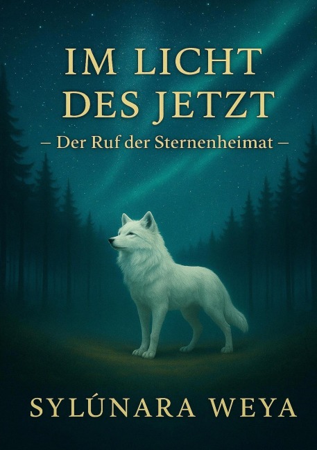 Im Licht des Jetzt - Der Ruf der Sternenheimat - Sylûnara Weya