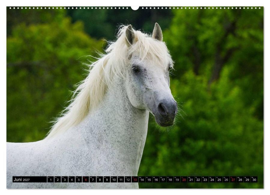 InsideView 10