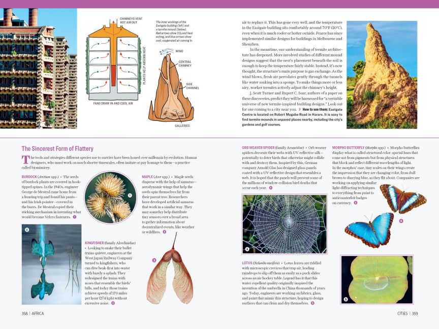 InsideView 9